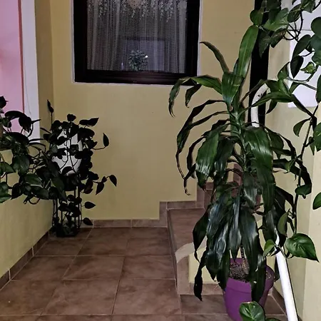 La Bibicu Guest house