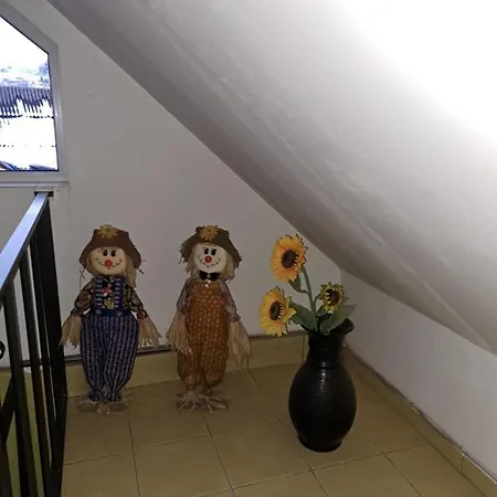 La Bibicu Agnita